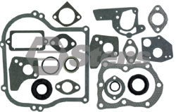 480-028-BR  GASKET SET WITH OIL SEALS FITS 5 HP HORIZONTAL ENGINES 