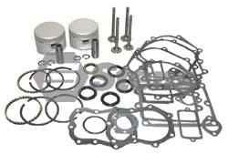 785-290-BR Briggs Overhaul Kit  Includes Pistons, Rings, Valves, Gaskets and Seals.
