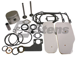 785-543-BR  Briggs Overhaul Kit Includes Piston, Rings, Valves, Gaskets and Seals.